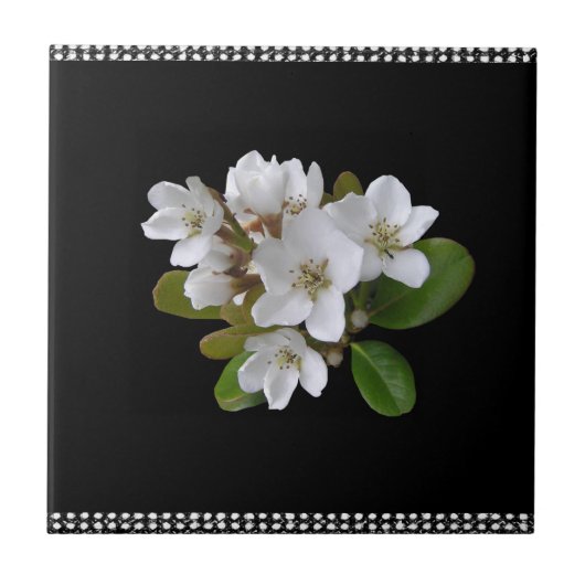 Keramik Tile White und Black Floral Fliese (Vorderseite)