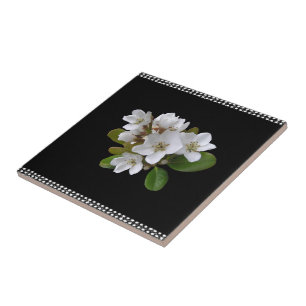 Keramik Tile White und Black Floral Fliese