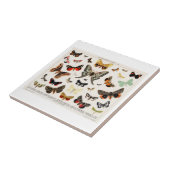 KERAMIK TITEL: ANTIQUE SCHALTFLEUNDLICHKEIT FLIESE (Seite)