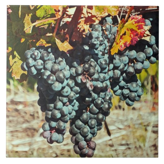 Keramik "TRUPPENKÖRPER, DIE VON RINDFLEISCH GEBRAC Fliese (Vorderseite)