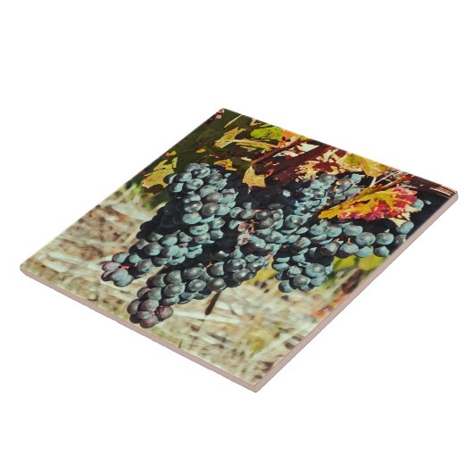 Keramik "TRUPPENKÖRPER, DIE VON RINDFLEISCH GEBRAC Fliese (Seite)