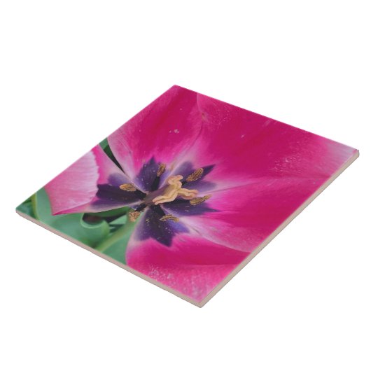 Keramik Tulip Tile Fliese (Seite)