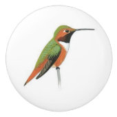 Keramik-Türgriff mit einem Kolibri Keramikknauf (Vorderseite)