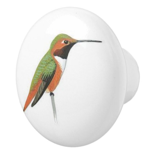 Keramik-Türgriff mit einem Kolibri Keramikknauf (Rechts)