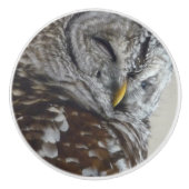 Keramik Uhu Türknauf Keramikknauf (Vorderseite)