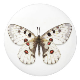 Keramik - weiß, braun und orange keramikknauf