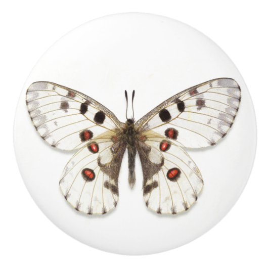 Keramik - weiß, braun und orange keramikknauf (Vorderseite)