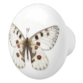 Keramik - weiß, braun und orange keramikknauf (Rechts)