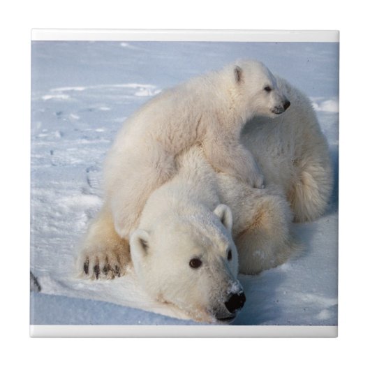 Keramik Ziegel Fliese (Vorderseite)