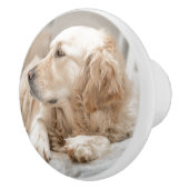 Keramik-Zug mit Porträt des goldenen Retrievers Keramikknauf (Rechts)