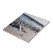 Keramiken Fliese (Seite)