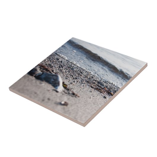 Keramiken Fliese (Seite)