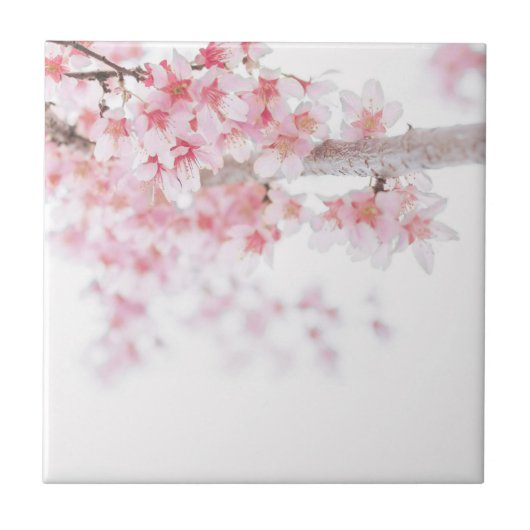 KERAMIKFLIESE: CHERRY BLOSSOM FLIESE (Vorderseite)
