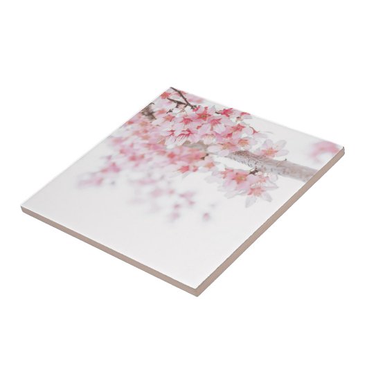 KERAMIKFLIESE: CHERRY BLOSSOM FLIESE (Seite)