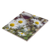 Keramikfliese der weißen Gänseblümchen (Seite)