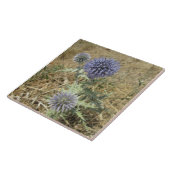 Keramikfliese Distel blaue Blume (Seite)