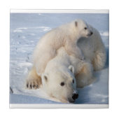 Keramikfliese Eisbär (Vorderseite)