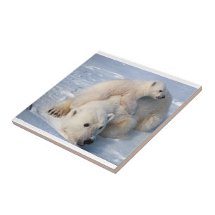 Keramikfliese Eisbär