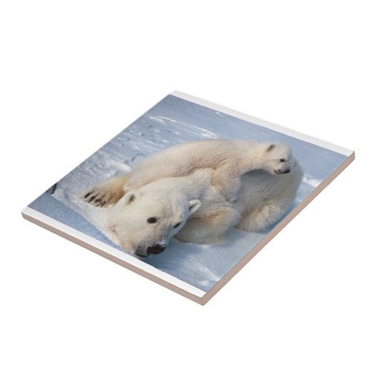 Keramikfliese Eisbär (Seite)