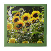 Keramikfliese kann als Untersetzer- oder (Vorderseite)