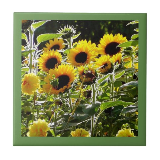 Keramikfliese kann als Untersetzer- oder (Vorderseite)