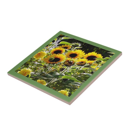 Keramikfliese kann als Untersetzer- oder (Seite)