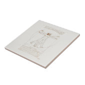 KERAMIKFLIESE: LEONARDO DA VINCI: VITRUVIAN MAN FLIESE (Seite)