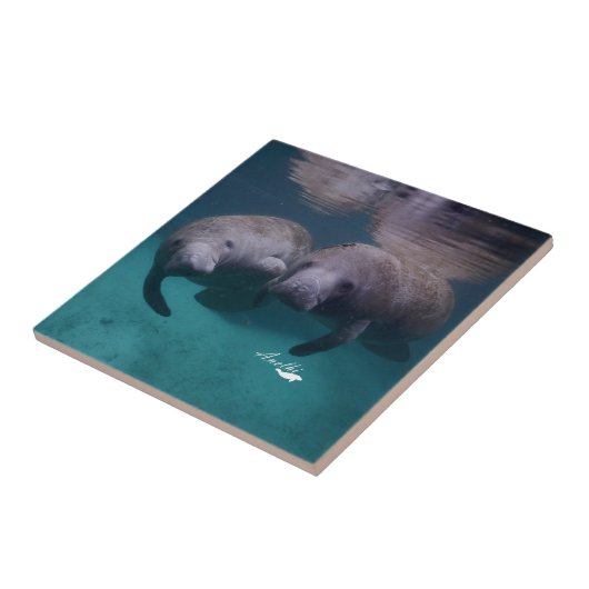 Keramikfliese mit 2 Manatis-Freunden (Seite)