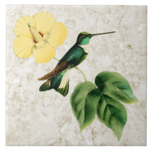 Keramikfliese mit Collared Inca Kolibri
