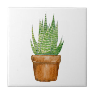 Keramikfliese mit eingetopfter Aloe Vera