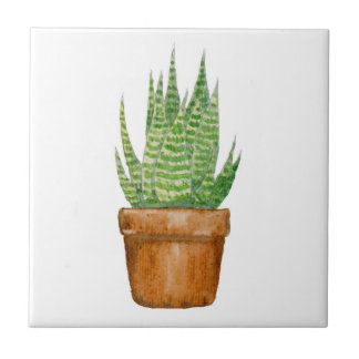 Keramikfliese mit eingetopfter Aloe Vera