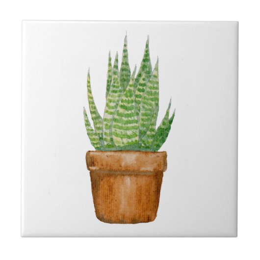 Keramikfliese mit eingetopfter Aloe Vera (Vorderseite)