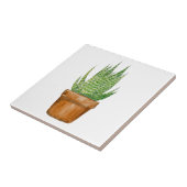 Keramikfliese mit eingetopfter Aloe Vera (Seite)