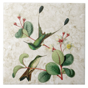 Keramikfliese mit Langschwanz-Hummelkolibri-Motiv