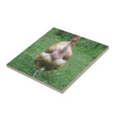 Keramikfliese mit Turken Henne (Seite)