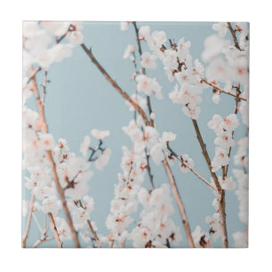 KERAMIKFLIESE: PLUMBLOSSOM  FLIESE