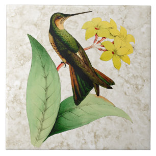 Keramikfliese Riesennymphe