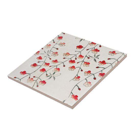 KERAMIKFLIESE: SEITEI: CHERRY BLOSSOMS FLIESE (Seite)