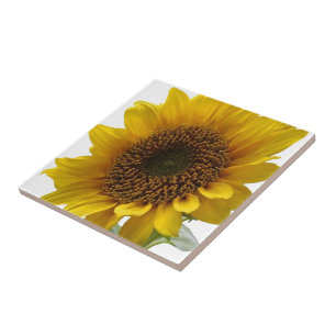 Keramikfliese Sonnenblume