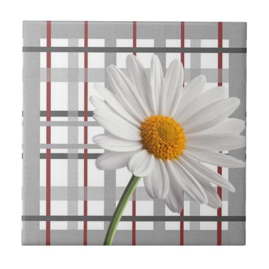 Keramikfliese Weiße Daisy Blumenmuster (Vorderseite)