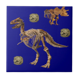 Keramikfliesen-Fossil Fliese