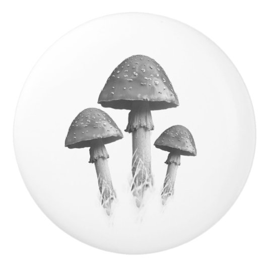 Keramikgriff Pilztrio Keramikknauf (Vorderseite)