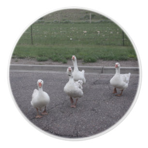 Keramikknopf Ente Keramikknauf