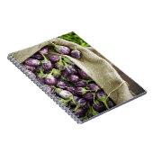 Kerelan Eggplant Notizblock (Rechte Seite)