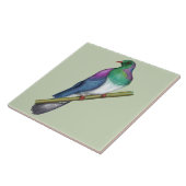 Kereru-Taube Fliese (Seite)