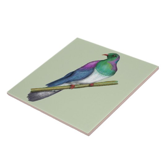 Kereru-Taube Fliese (Seite)