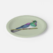 Kereru-Taube Pappteller (Schrägansicht)