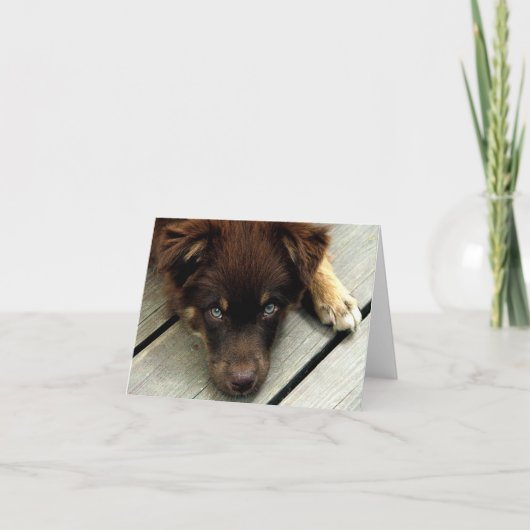 Kerl Notecard Karte (Vorderseite)