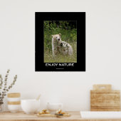Kermode Bear Motivierend Poster (Küche)