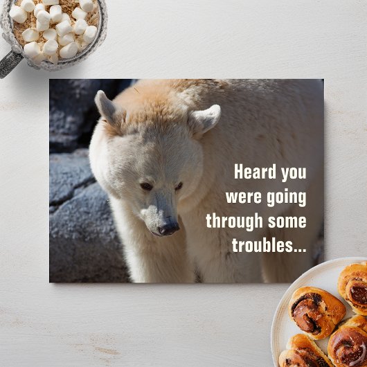 Kermode Bear ・ Probleme Postkarte